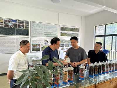 臺江縣林業(yè)產(chǎn)業(yè)與國有林場改革調(diào)研 宗煒副局長強(qiáng)調(diào)優(yōu)化林業(yè)產(chǎn)品銷售渠道