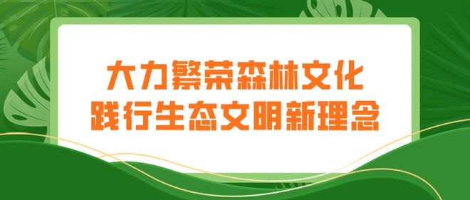 生態(tài)廊道繪就綠色畫卷 衢州林業(yè)“十四五”規(guī)劃發(fā)布下的詩(shī)畫風(fēng)光帶新生